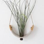 Air Plant Cradle "Buff" Large - With Plant