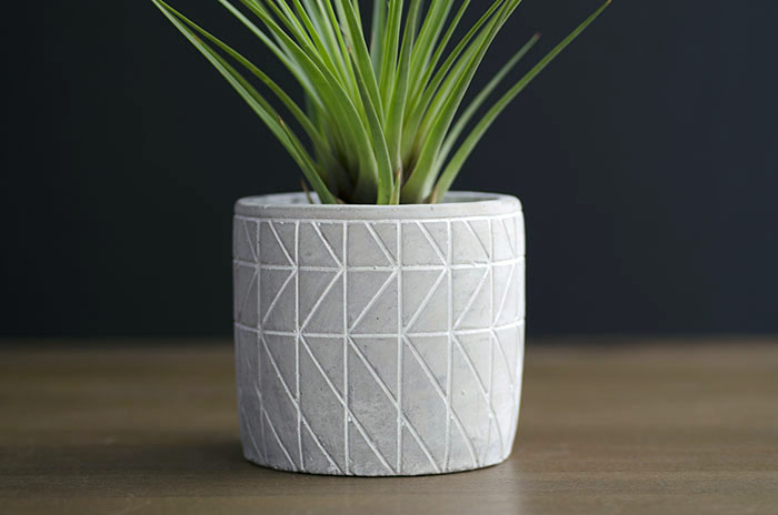 Concrete Planter "Geometric" - With Plant picture