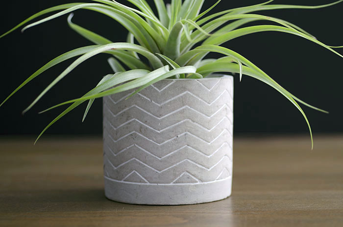 Concrete Planter "Chevron" - With Plant picture