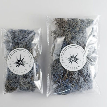 Preserved Reindeer Moss - Blue Lavender picture