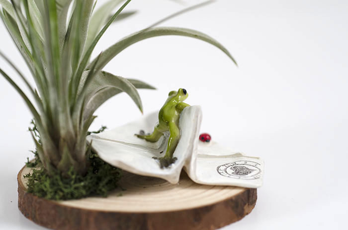 Folded Paper Air Plane Frog Arrangement picture