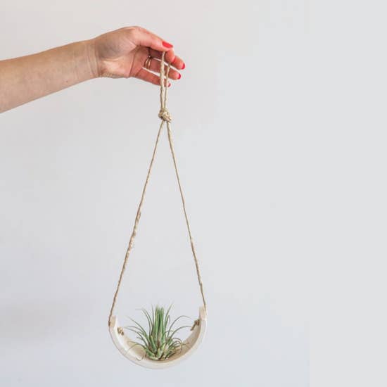 Air Plant Cradle "White" - Small - With Plant picture