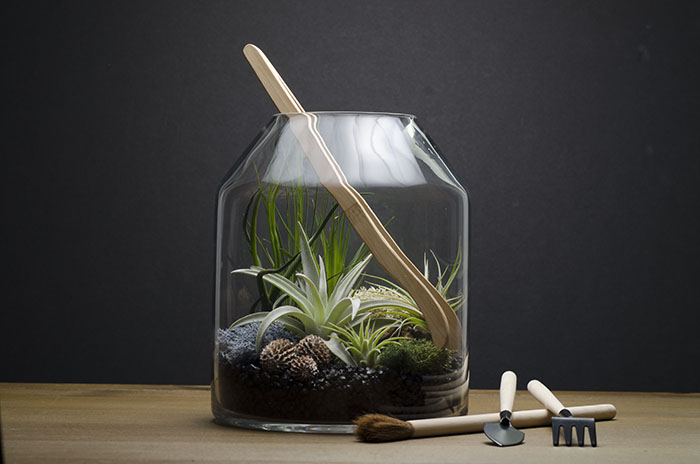 Artizan Terrarium Kit