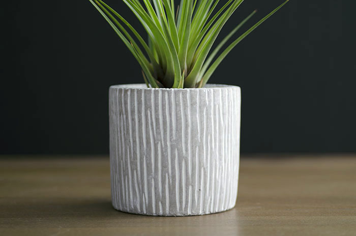 Concrete Planter "Trunk" - With Plant picture