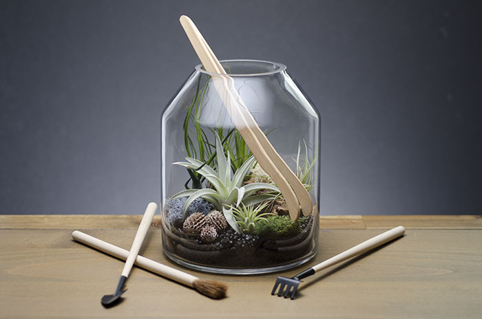 Artizan Terrarium Kit picture