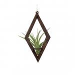 Diamond Walnut Tillandsia Hanger - With Plant