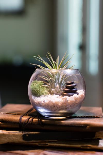 Zen Stacked Stone Terrarium Kit - Small picture