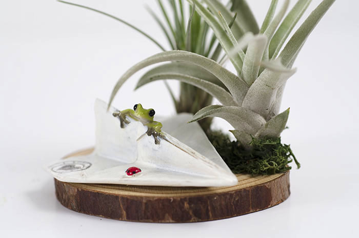 Folded Paper Air Plane Frog Arrangement picture