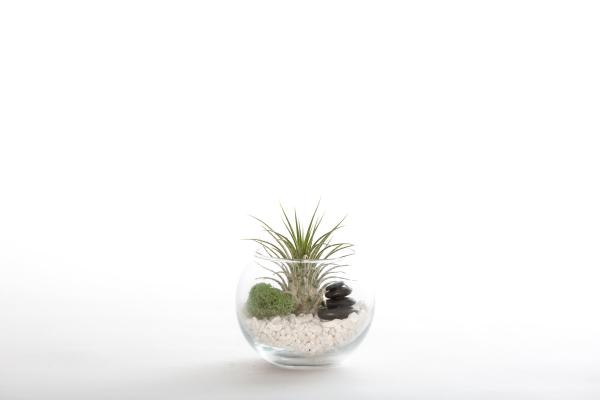 Zen Stacked Stone Terrarium Kit - Small picture