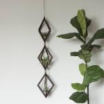 Diamond Walnut Hanger Trio - With Plants