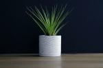 Concrete Planter "Chevron" - With Plant