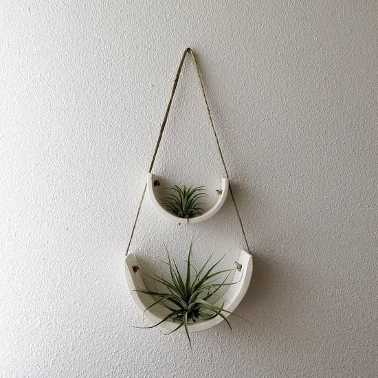 Air Plant Cradle "White" Large - With Plant picture