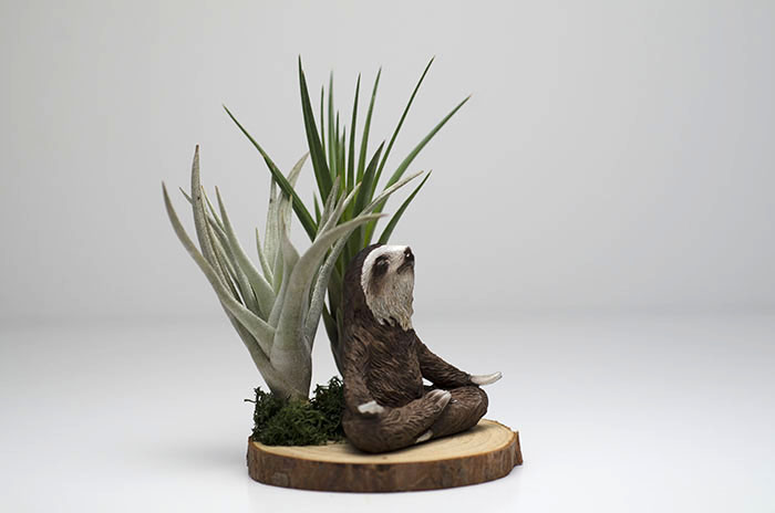 Meditating Sloth Arrangement picture