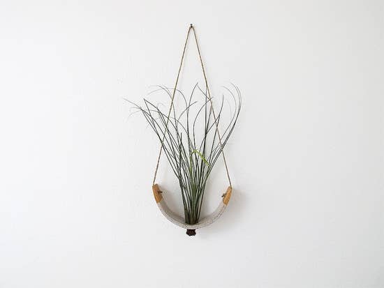 Air Plant Cradle "Buff" Large - With Plant picture