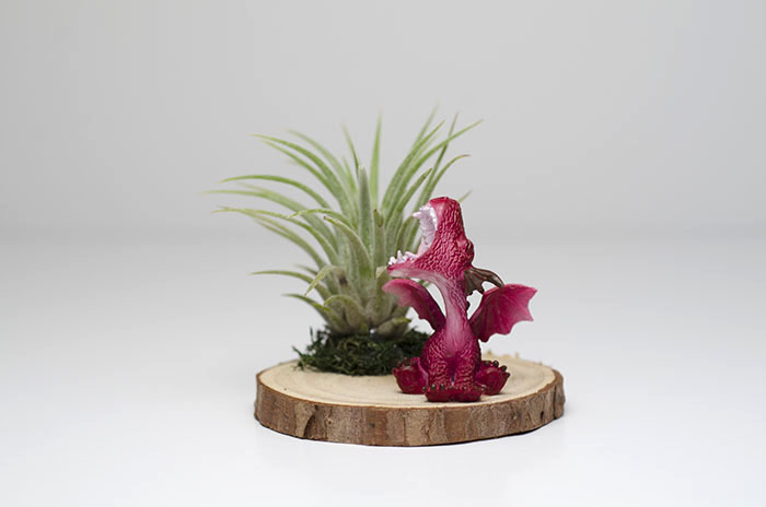 Roaring Baby Dragon Arrangement - Red picture