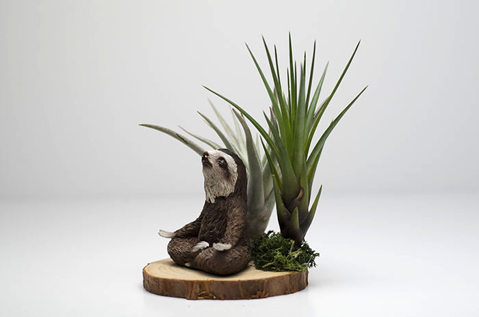Meditating Sloth Arrangement picture