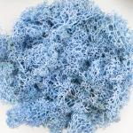 Preserved Reindeer Moss - Blue Lavender