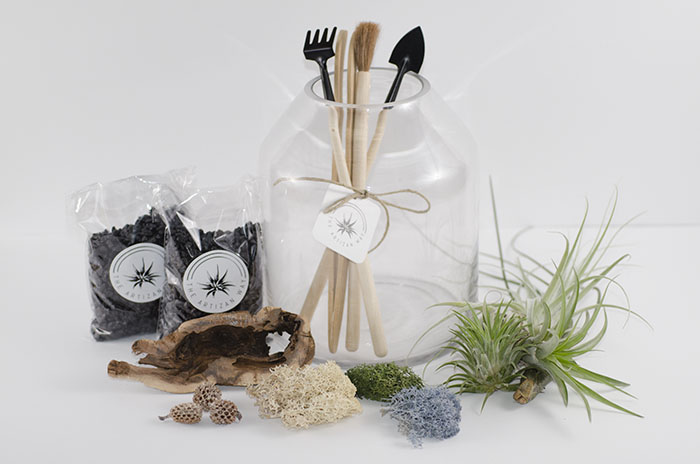 Artizan Terrarium Kit picture