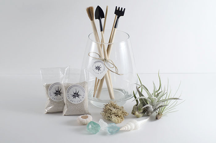 Seaside Terrarium Kit picture