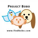 Project Bobo
