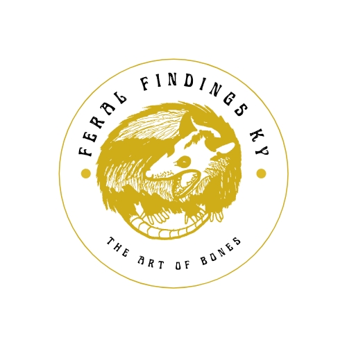 Feral Findings KY