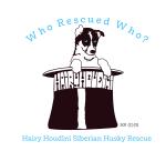 Hairy Houdini Siberian Husky Rescue