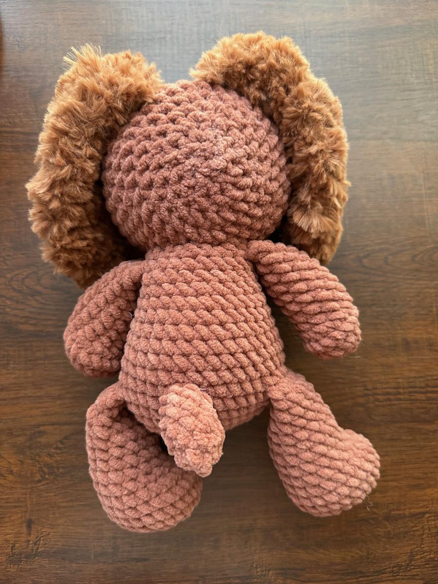 dog fluffy ears picture