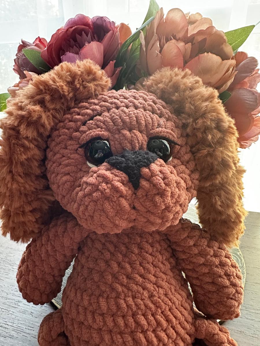 dog fluffy ears picture