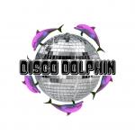 Disco Dolphin