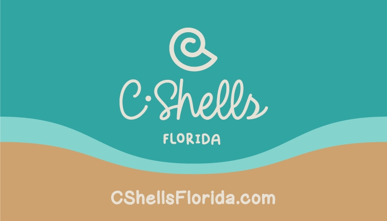 C Shells Florida