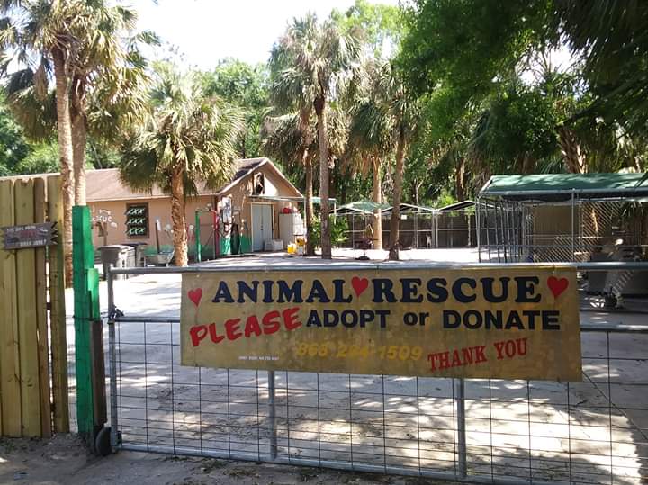 Animal Rescueof Labelle Inc