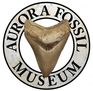 Aurora Fossil Museum