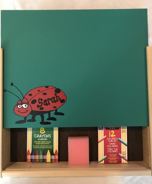 Lady Bug Activity Box picture