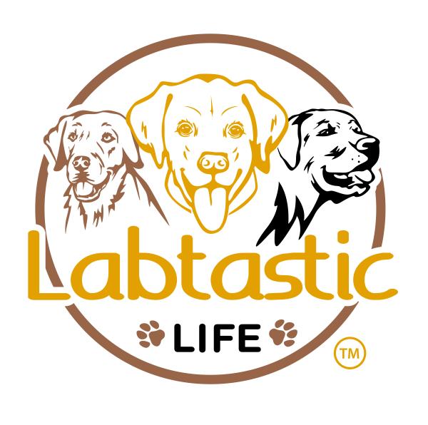 Labtastic Life