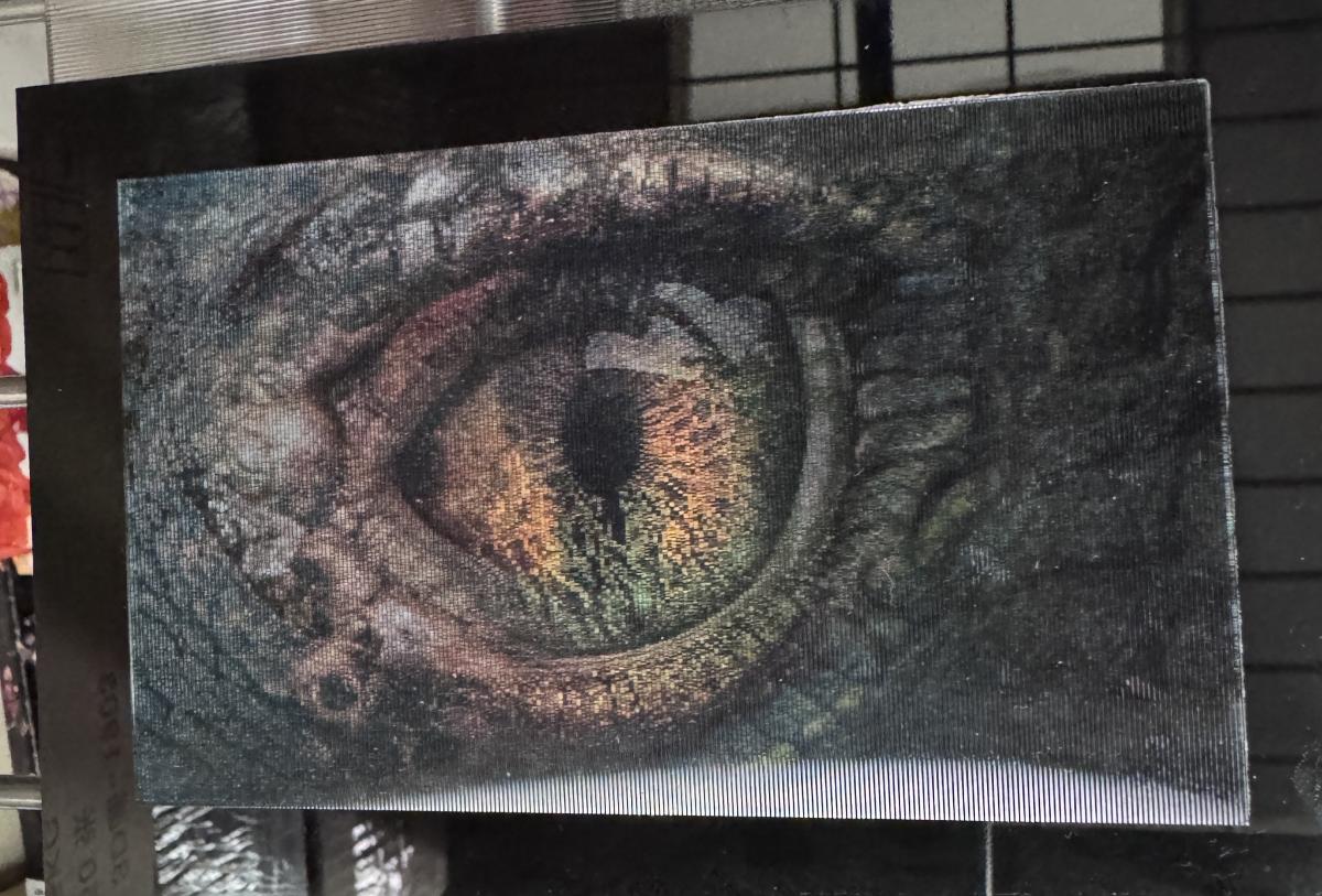 Mounted Lenticular Dragon Eye picture
