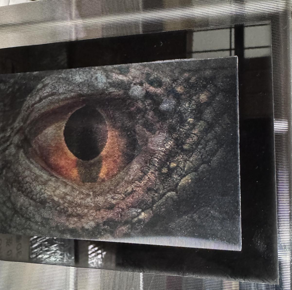 Mounted Lenticular Dragon Eye picture