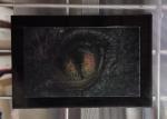 Mounted Lenticular Dragon Eye