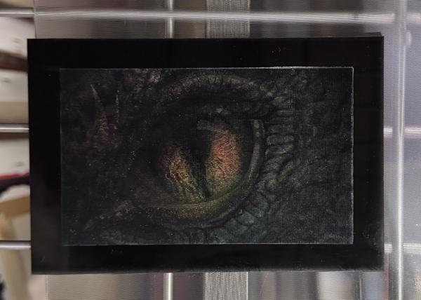Mounted Lenticular Dragon Eye