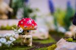 Bircher Collectables