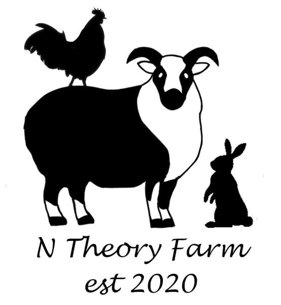 N  Theory Farm