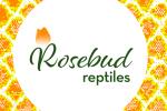 Rosebud Reptiles