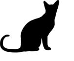 Breezy Cat Designs