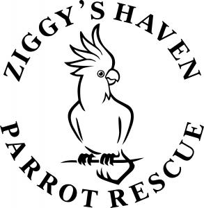 Ziggy's Haven Bird Sanctuary, Inc. logo