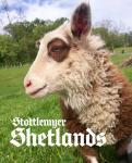 Stottlemyer Shetlands