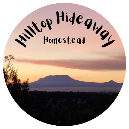 Hilltop Hideaway Homestead