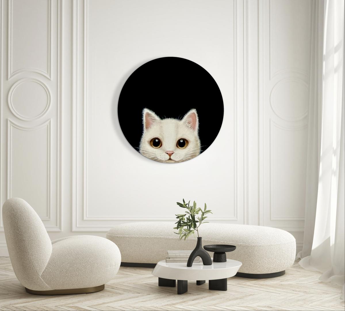 Peeking Cat picture