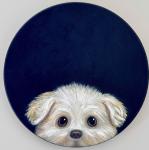 Peeking Pup