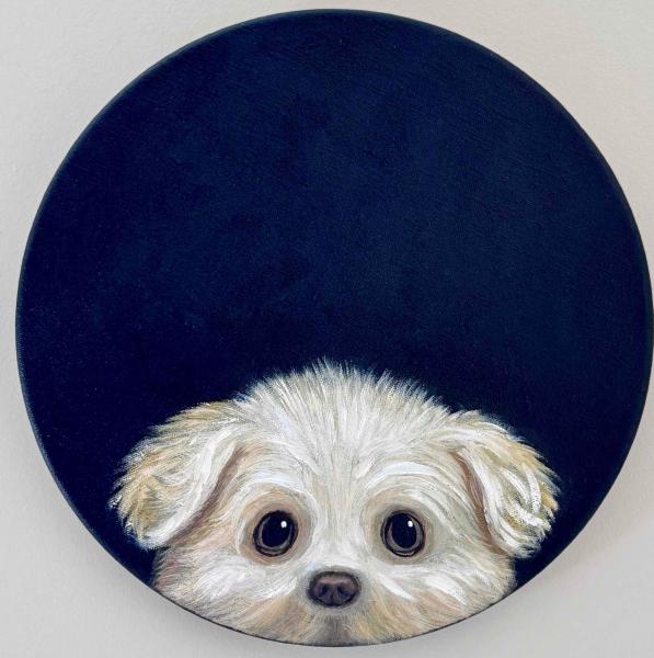 Peeking Pup