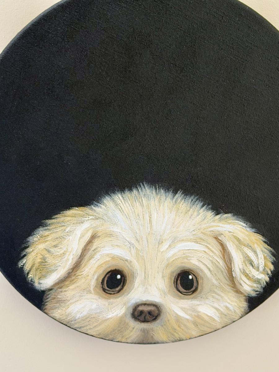 Peeking Pup picture
