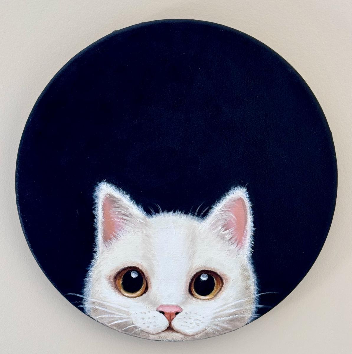 Peeking Cat picture